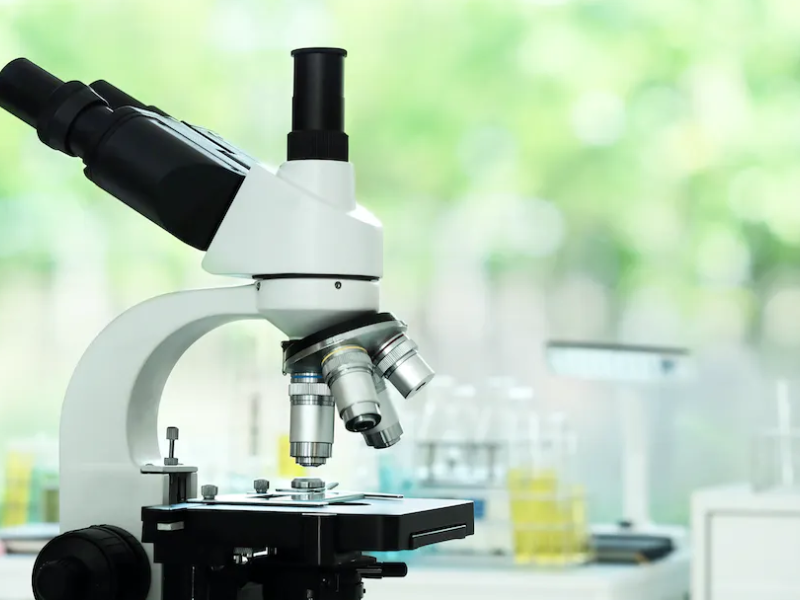 Development in Science is on The Decadence and We Are Unsure Why