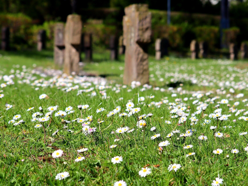 Wave Energy Can Provide Utility Scale Power Production And Works Very Well ... Of Ocean And Sea Waves And Use It To Create Energy – Usually Electricity. 2023 01 19T195704.079