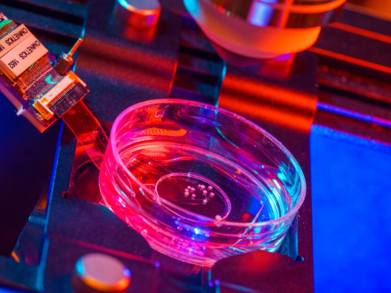 Wave Energy Can Provide Utility Scale Power Production And Works Very Well ... Of Ocean And Sea Waves And Use It To Create Energy – Usually Electricity. 2023 01 20T213348.052