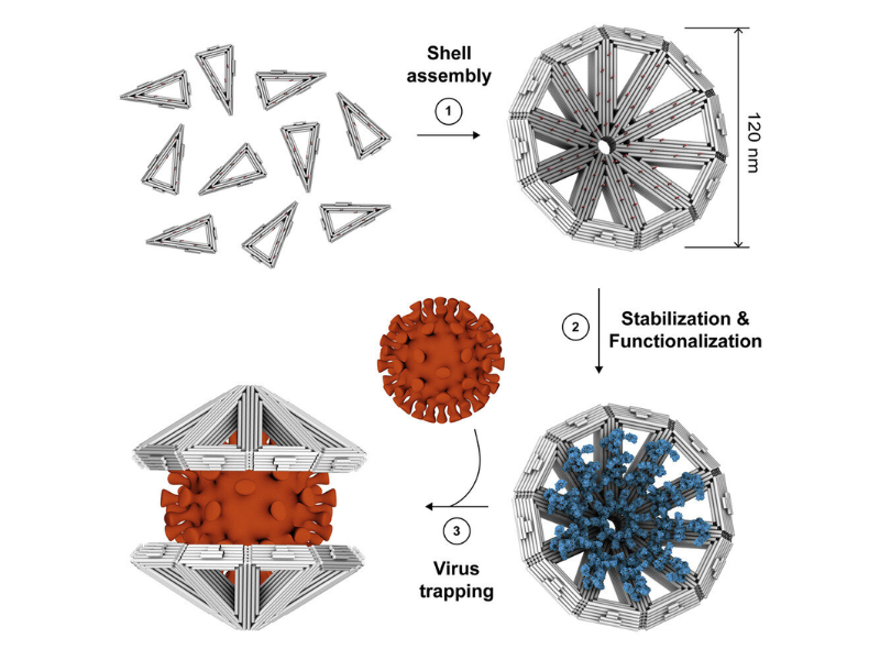 Wave Energy Can Provide Utility Scale Power Production And Works Very Well ... Of Ocean And Sea Waves And Use It To Create Energy – Usually Electricity. 2023 01 22T171840.726