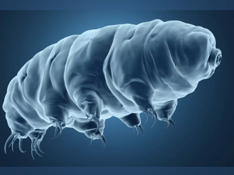 Wave Energy Can Provide Utility Scale Power Production And Works Very Well ... Of Ocean And Sea Waves And Use It To Create Energy – Usually Electricity. 2023 01 23T232359.082