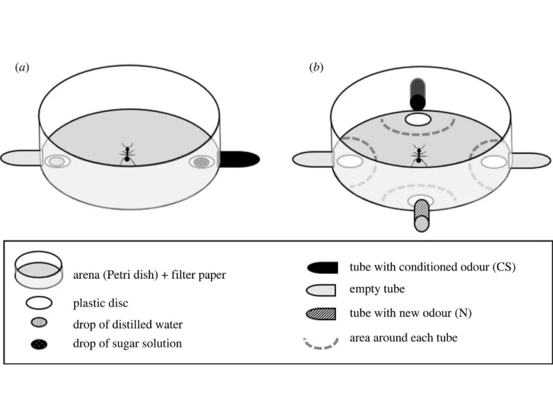 Wave Energy Can Provide Utility Scale Power Production And Works Very Well ... Of Ocean And Sea Waves And Use It To Create Energy – Usually Electricity. 2023 01 30T225307.115