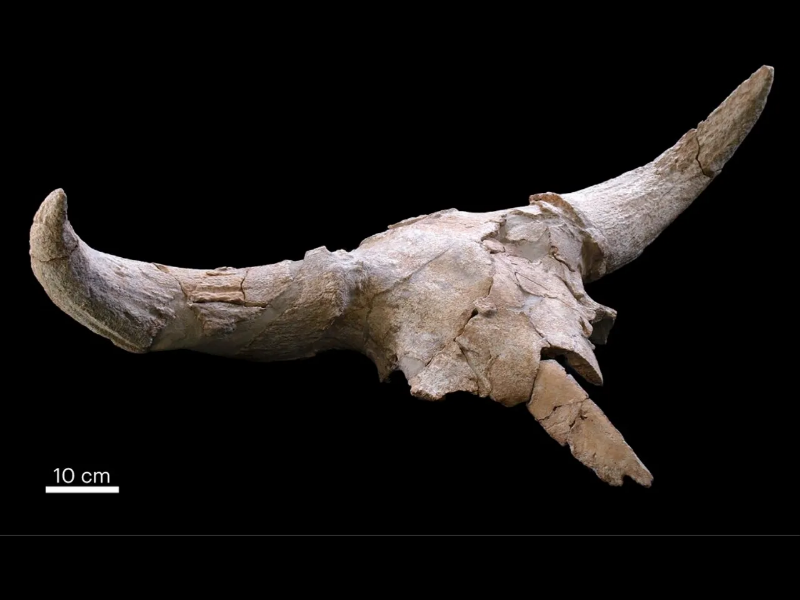 Wave Energy Can Provide Utility Scale Power Production And Works Very Well ... Of Ocean And Sea Waves And Use It To Create Energy – Usually Electricity. 2023 01 30T232554.835