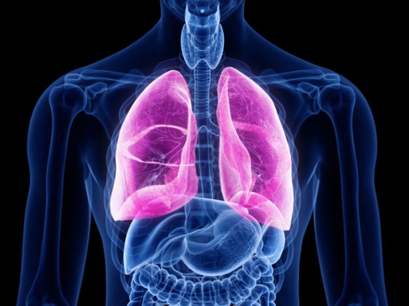 Nano Drug Delivery Advancement Discloses New Opportunities for the Treatment of Pulmonary Fibrosis