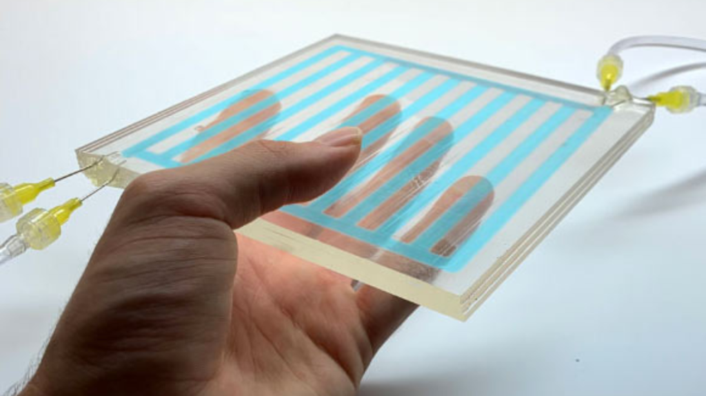 Squid Window 1140x640 1 1024x575