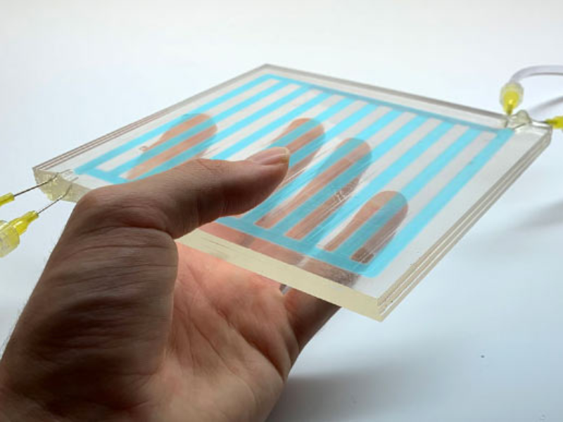 Squid Window 800x600 1