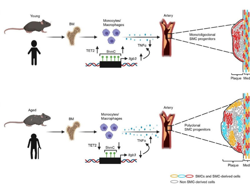 Wave Energy Can Provide Utility Scale Power Production And Works Very Well ... Of Ocean And Sea Waves And Use It To Create Energy – Usually Electricity. 2023 02 09T204116.050
