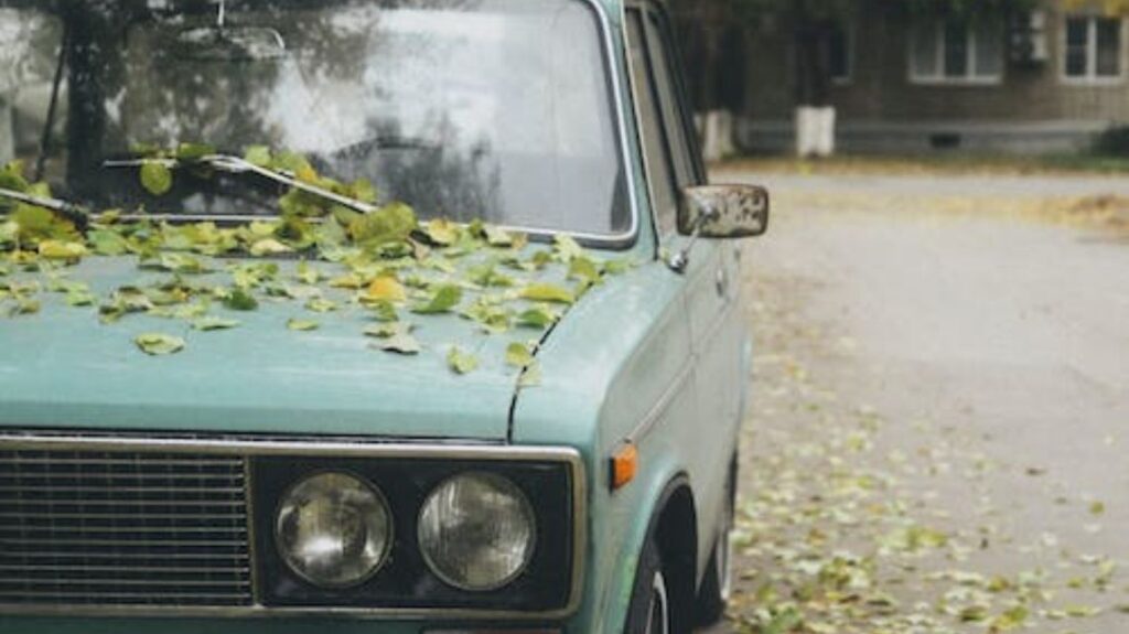 The Jingle used to relate us to people who loved “kangaroos, football, meat pies, and Holden Cars.”