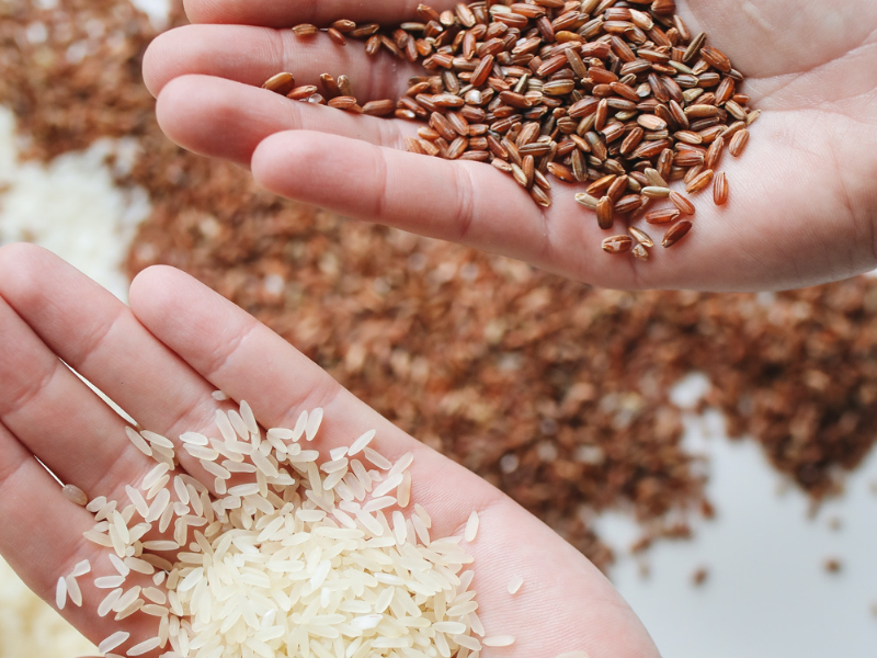 The Healthiest Rice! White or Brown? From a Nutrition Scientist Perspective.