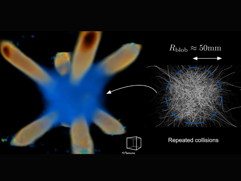 A New Method for Managing the Turbulence’s Characteristics