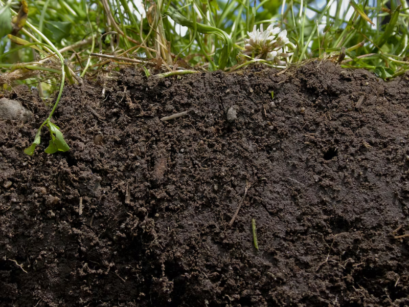 Cost-Effective, Efficient Soil Health Assessment for Large-Scale Use