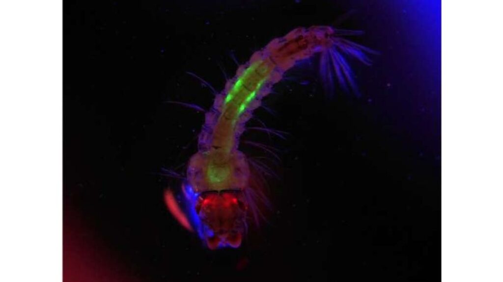 Design Sem Nome 2023 07 07T235231.683 1024x575