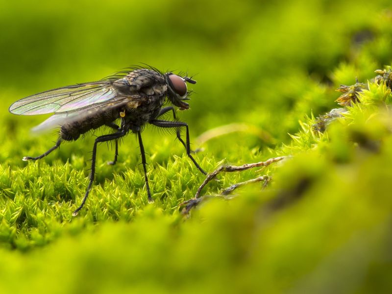 Design Sem Nome 2023 07 29T211101.900