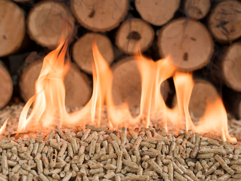 Des Scientifiques Ont Mis Au Point Le Premier Corps Moleculaire Un Etre Vivant Qui Nest Pas Vivant 67