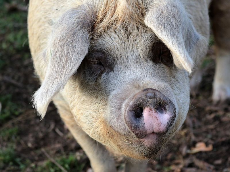 Design Sem Nome 2023 08 02T214824.767