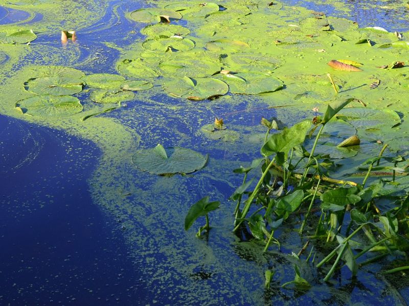 Design Sem Nome 2023 08 02T224918.595