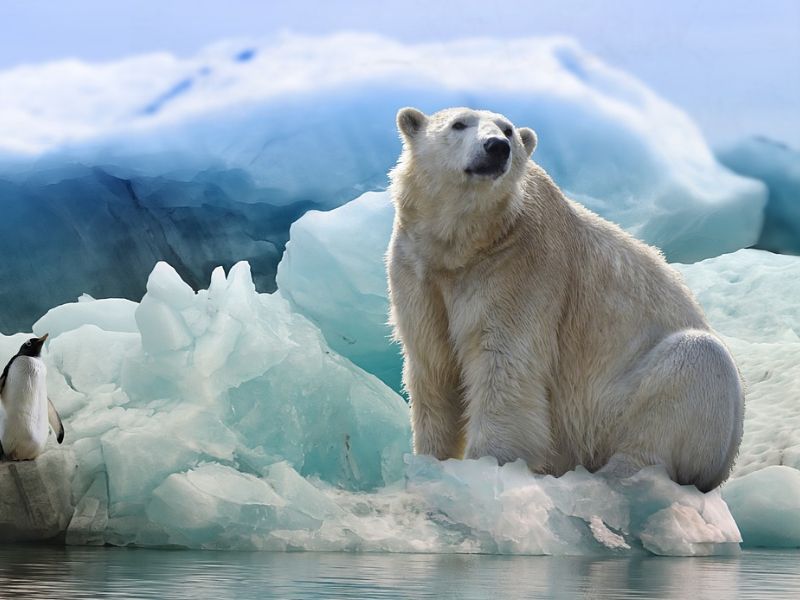 Design Sem Nome 2023 08 23T001344.642