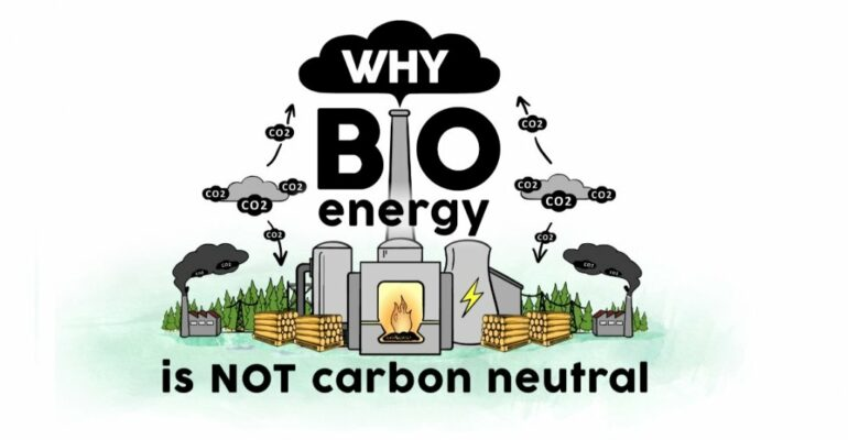 Incorrect way of using biomass for energy generation