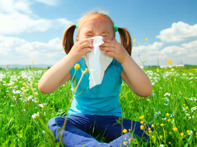 Design Sem Nome 2023 09 03T094046.495