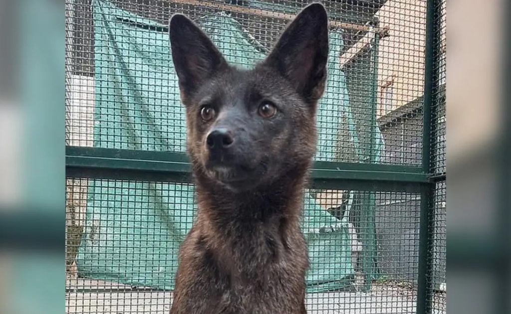 Design Sem Nome 2023 09 29T202023.188 1024x630