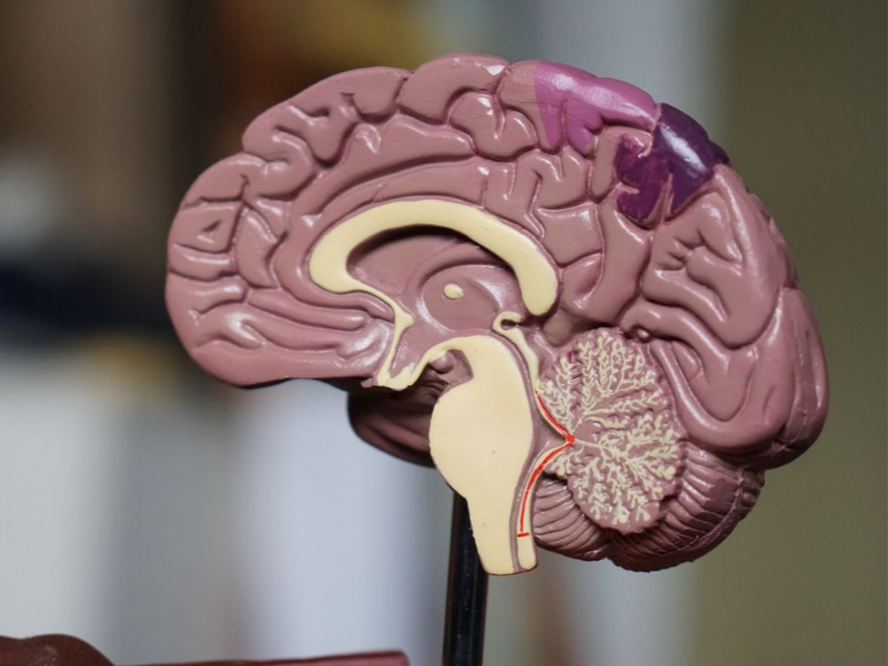 Design Sem Nome 2023 10 16T181832.559