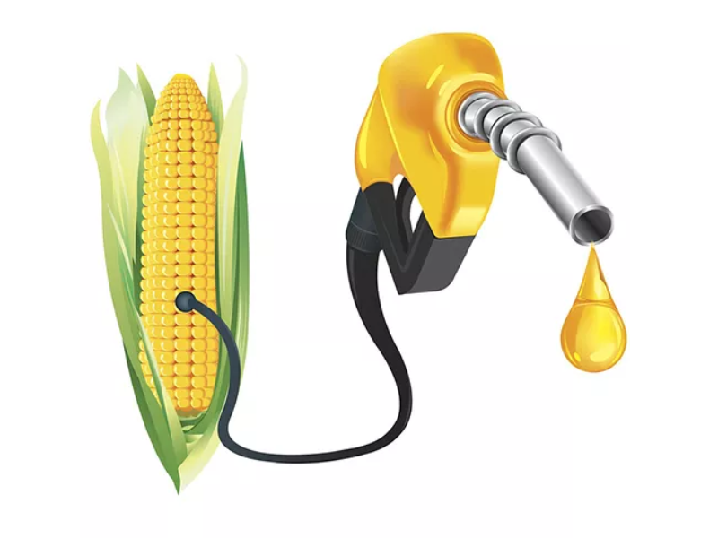 Design Sem Nome 2023 10 18T205535.648