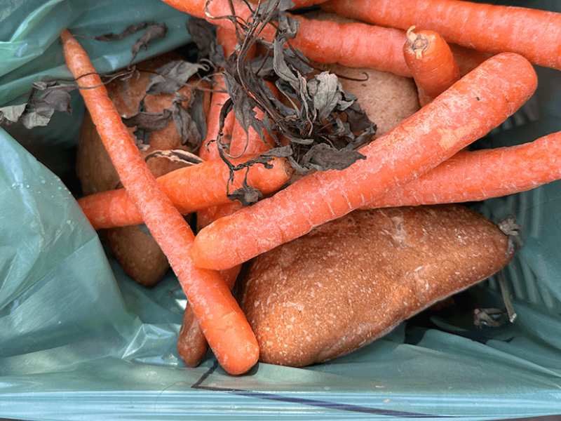 Des Scientifiques Ont Mis Au Point Le Premier Corps Moleculaire Un Etre Vivant Qui Nest Pas Vivant 95