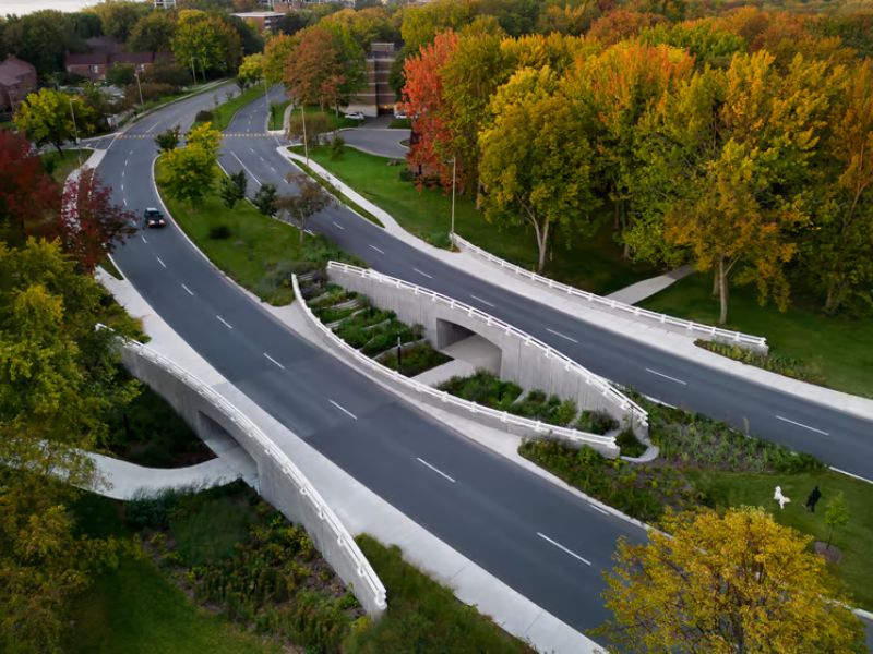 Design Sem Nome 2023 11 07T224051.838