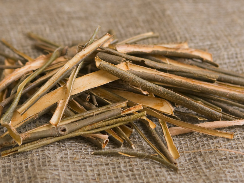 Design Sem Nome 2023 11 09T181113.008