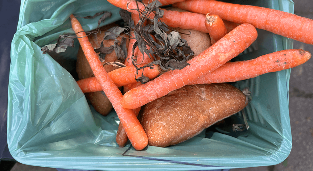 Menos desperdício de alimentos Europa mais verde