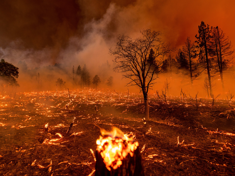 Climate Change Intensifies Wildfires and Prolongs Fire Seasons