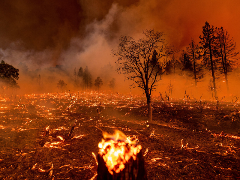 Os incêndios florestais, uma das calamidades naturais mais devastadoras do país, ameaçam vidas, propriedades e o ambiente, causando poluição atmosférica e destruindo casas e infra-estruturas. A previsão e a gestão eficazes dos incêndios florestais dependem da compreensão do risco e da afetação estratégica dos recursos. Um estudo recente, apresentado em pormenor na edição de novembro da revista Earth's Future, traz uma visão científica para esta causa.