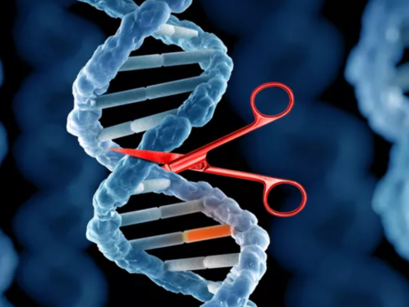 Des Scientifiques Ont Mis Au Point Le Premier Corps Moleculaire Un Etre Vivant Qui Nest Pas Vivant 7 2