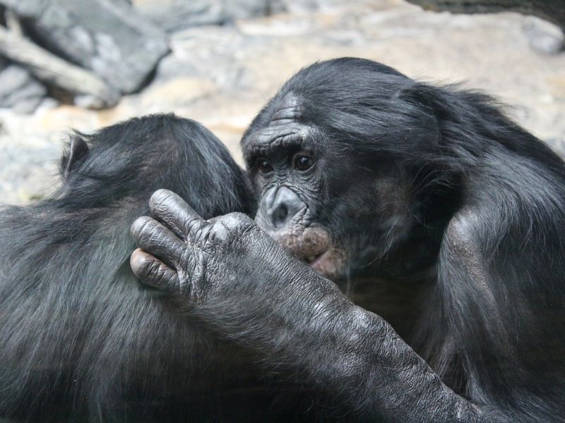 Design Sem Nome 2023 12 19T230130.235