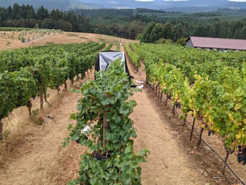 Design Sem Nome 2024 01 31T115104.320