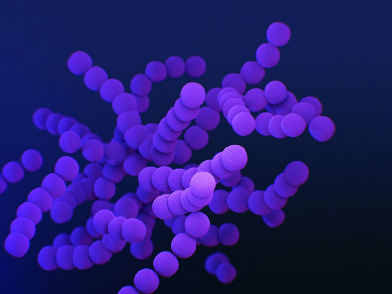 Promising New Antibiotic Targets Drug-Resistant Bacteria