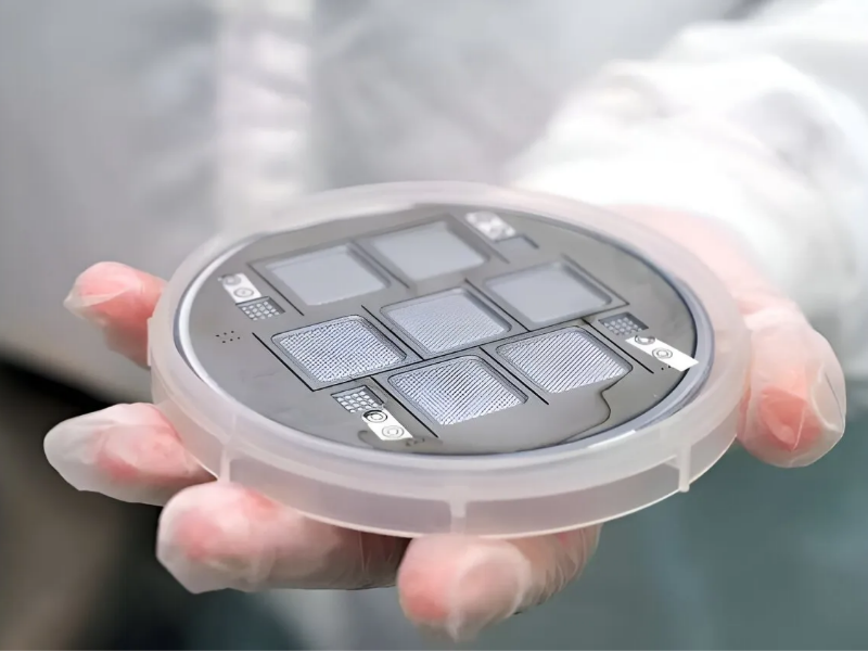 Journal Of Functional Foods. 5