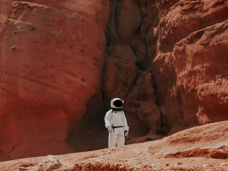 Journal Of Functional Foods. 8 1