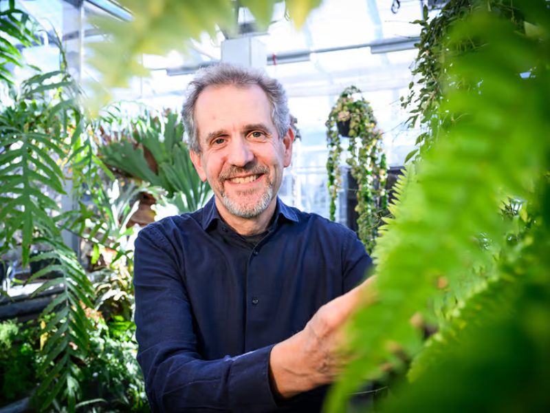 The Amyloid Hypothesis Rewriting Lifes Origin Story