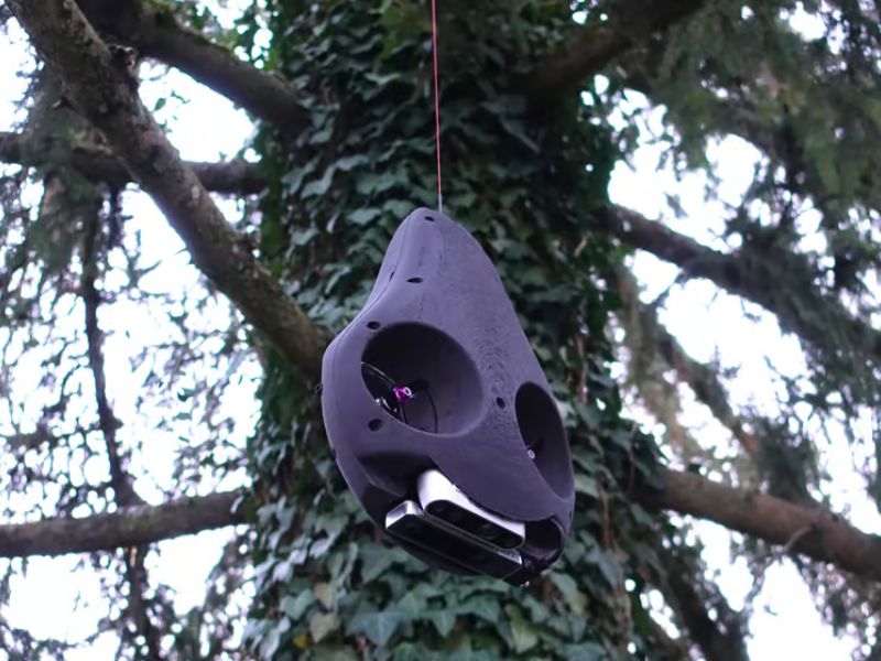 Design Sem Nome 2024 02 01T102701.309