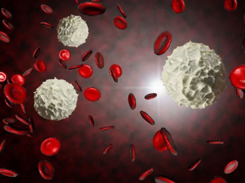 A Recently Discovered Molecule Boosts White Blood Cell Levels to Combat Infections