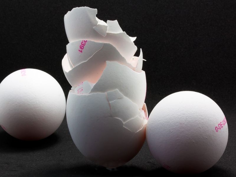 Design Sem Nome 2024 02 15T081713.024