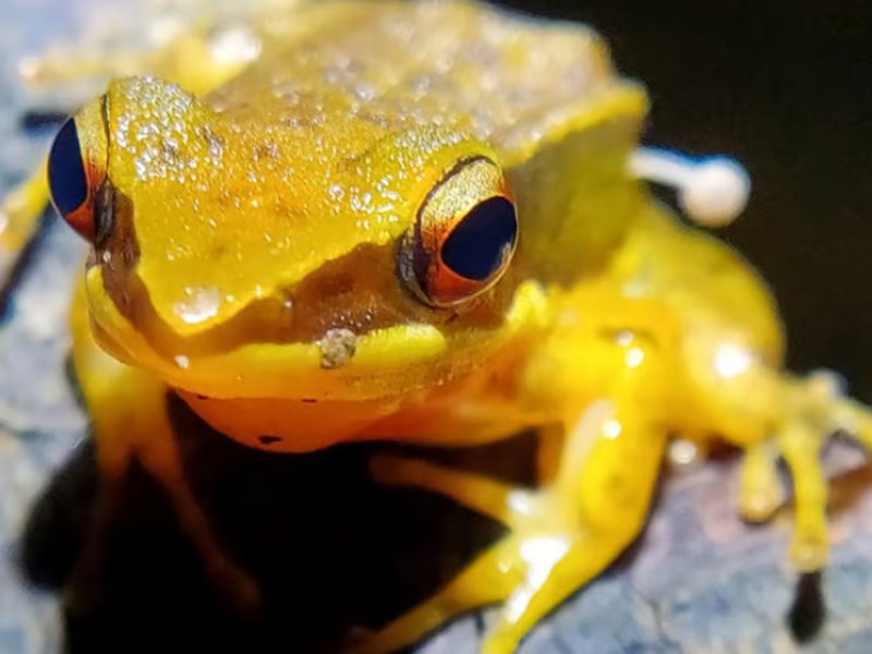 Design Sem Nome 2024 02 16T135318.893