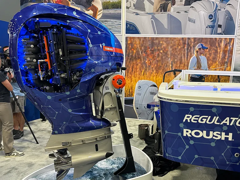 Journal Of Functional Foods. 42