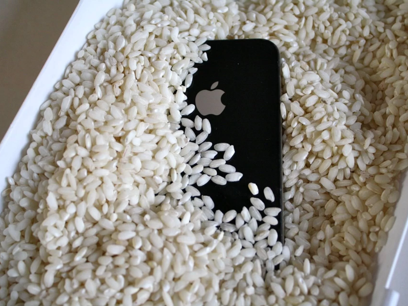 Journal Of Functional Foods. 44