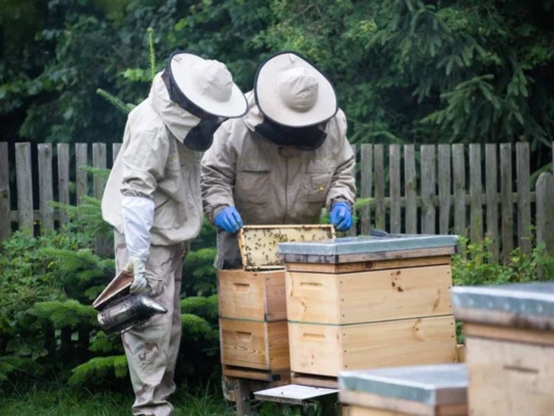 Design Sem Nome 2024 03 06T142143.757