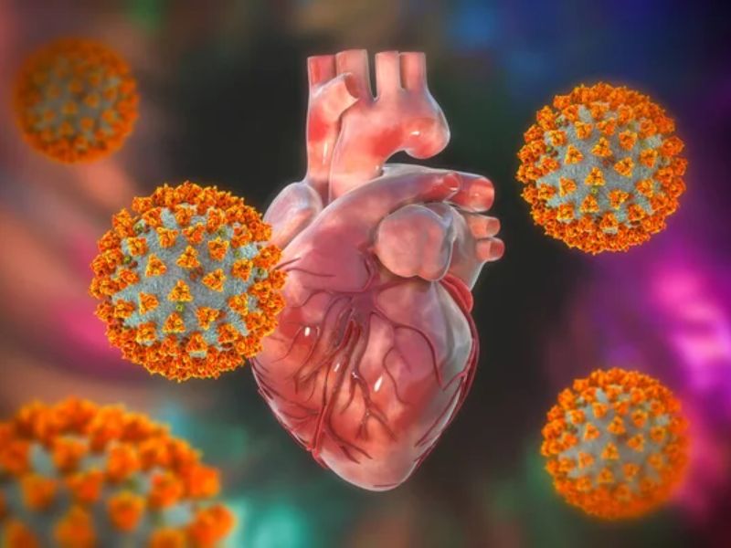 Design Sem Nome 2024 03 11T093449.180