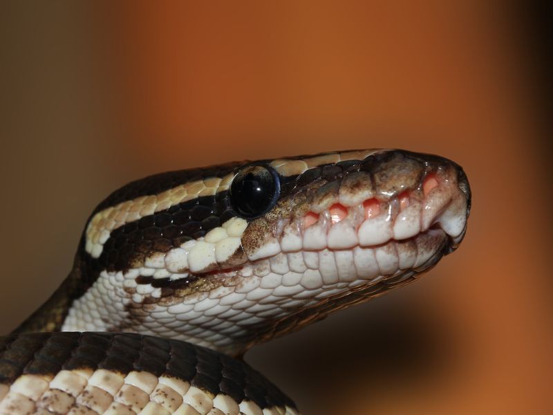 Design Sem Nome 2024 03 15T121136.995