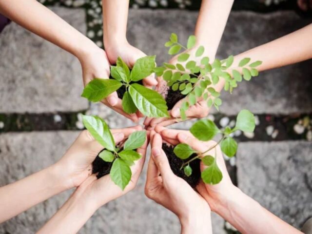 Planting Trees in Wrong Places Worsens Global Warming - Scitke ...