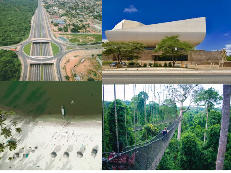 Gabon Rainforest: Supplying Amsterdam’s Gates